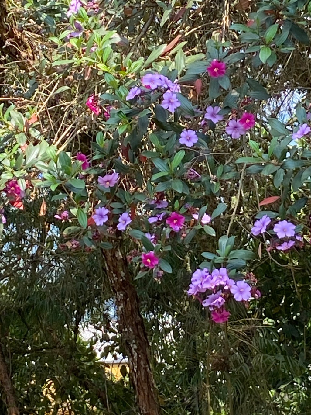 Luxury Travel:Recinto del&nbsp;Pensiamento