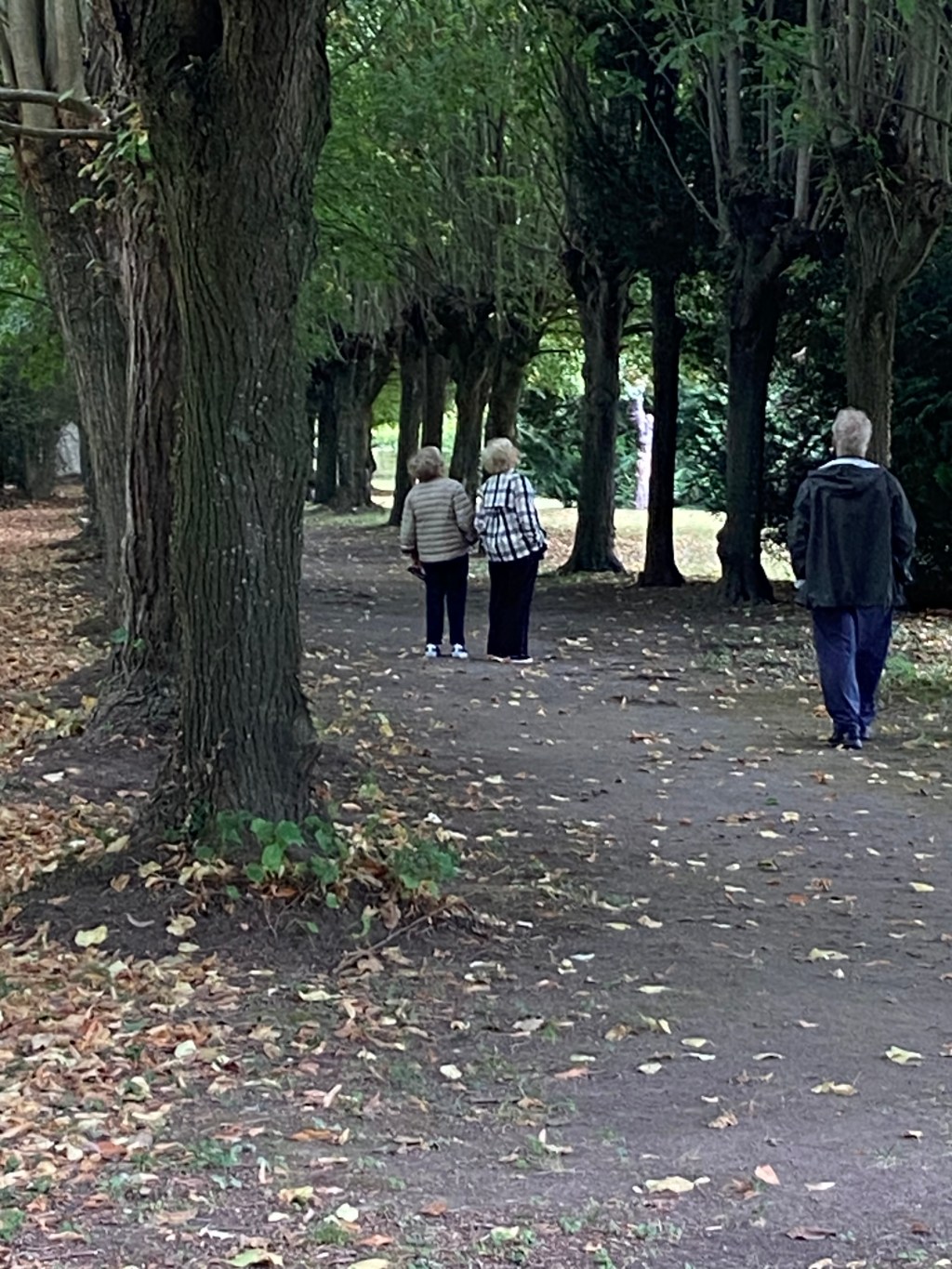 Traveling/Getting Oriented in&nbsp;France